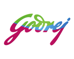 Logo Item