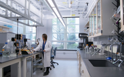 Chemical Resistance Epoxy Flooring for University Laboratories
