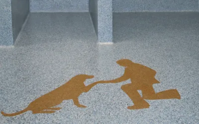  10 Reasons Why Epoxy Flooring Is Ideal For Pet Care and Veterinary Clinics 